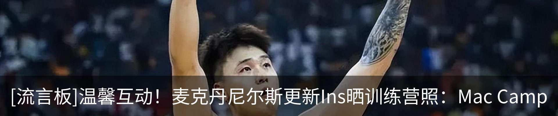 新闻动态